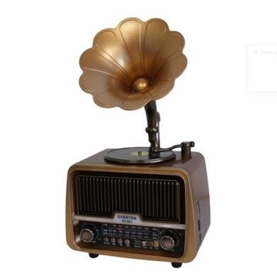 EVERTON RT 601 USB RADYO